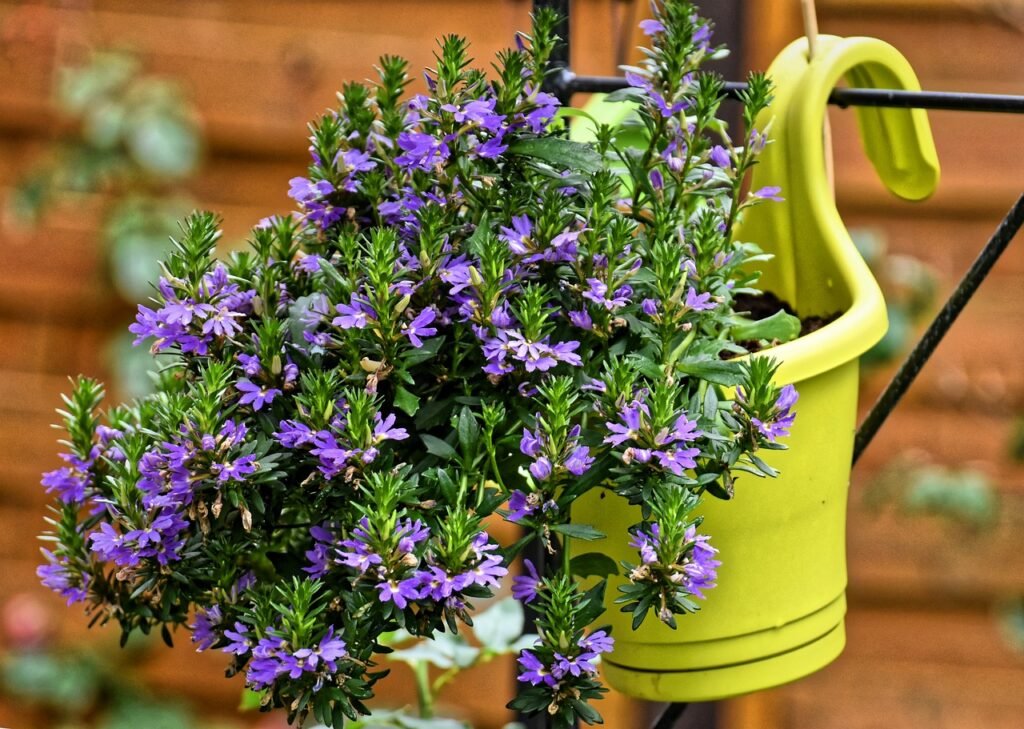 flower, pot, garden-4423217.jpg